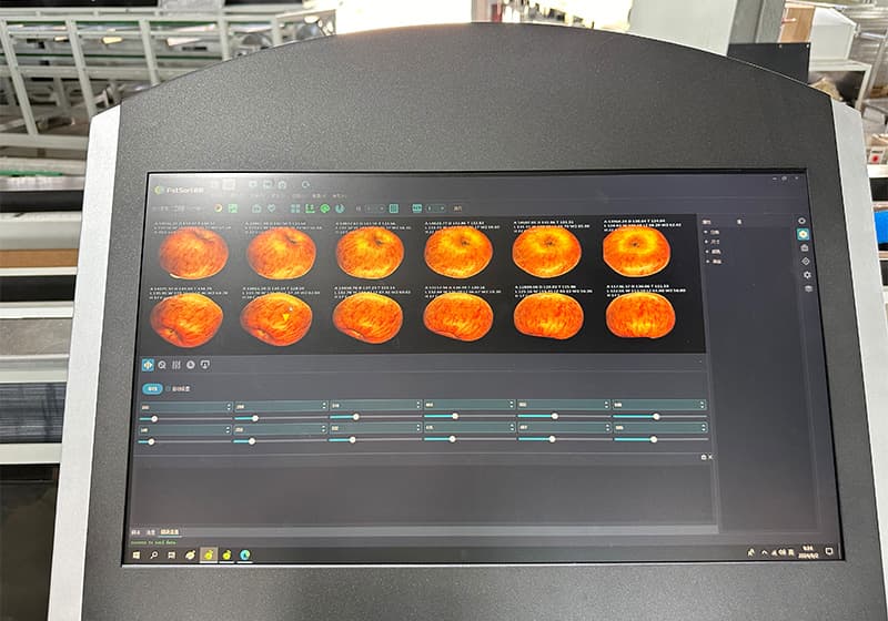 apple color sorter machine.jpg